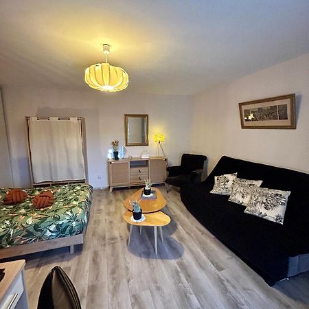 Charmant Studio De 50 M2 Chaumont  Esterno foto